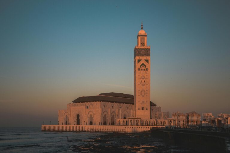 Société de livraison Casablanca : Votre partenaire pour des envois rapides et fiables